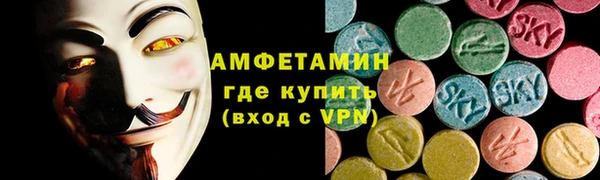 шишки Медвежьегорск