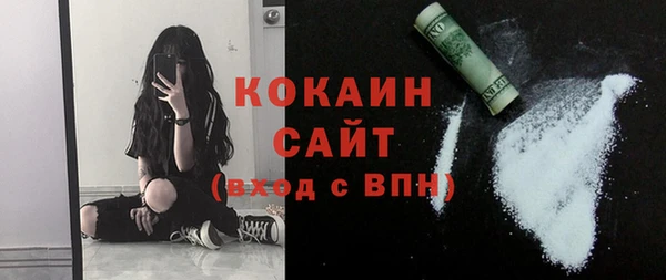 сатива Белая Холуница