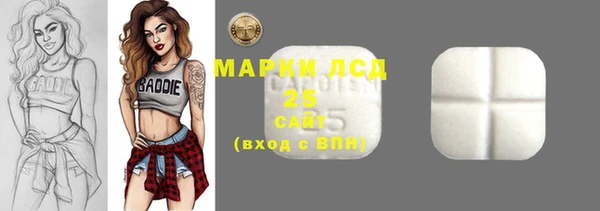 шишки Медвежьегорск