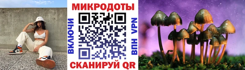 kraken вход  Нефтегорск  Галлюциногенные грибы Psilocybe 